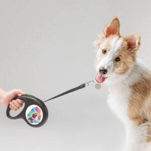 Cute Dog Retractable Pet Leash - Retriever Leash - Colorful Dog Leash Dog Walking Pets Supplies Size : 197 inches|118 inches 