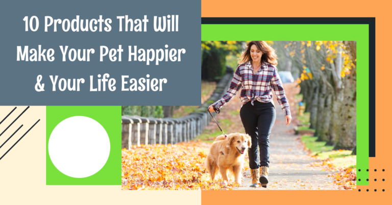 10 Products That Will Make Your Pet Happier & Your Life Easier