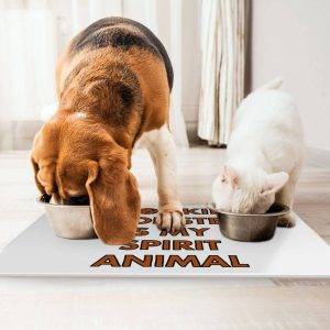 The Purrfect Guide: Choosing the Best Feeding Suppliers for Your Beloved Pets